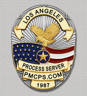 Small Claims-Process-Server